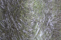 South Powrie fibreglass roof work